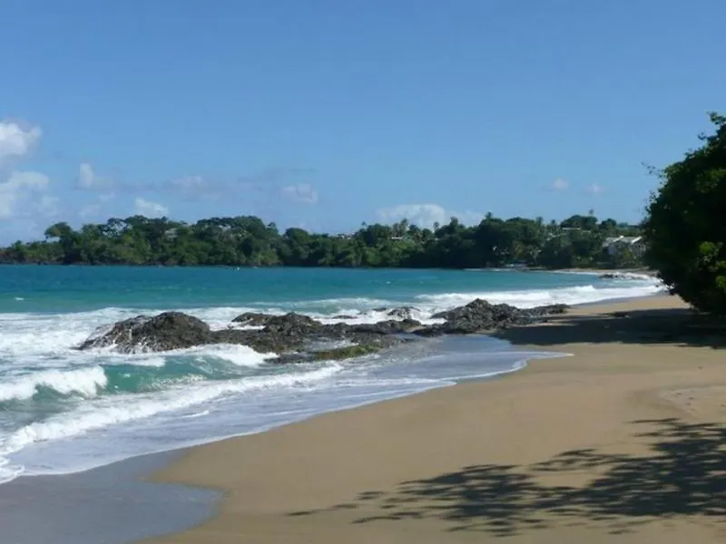 Hotel Plantation Beach Villas Black Rock
